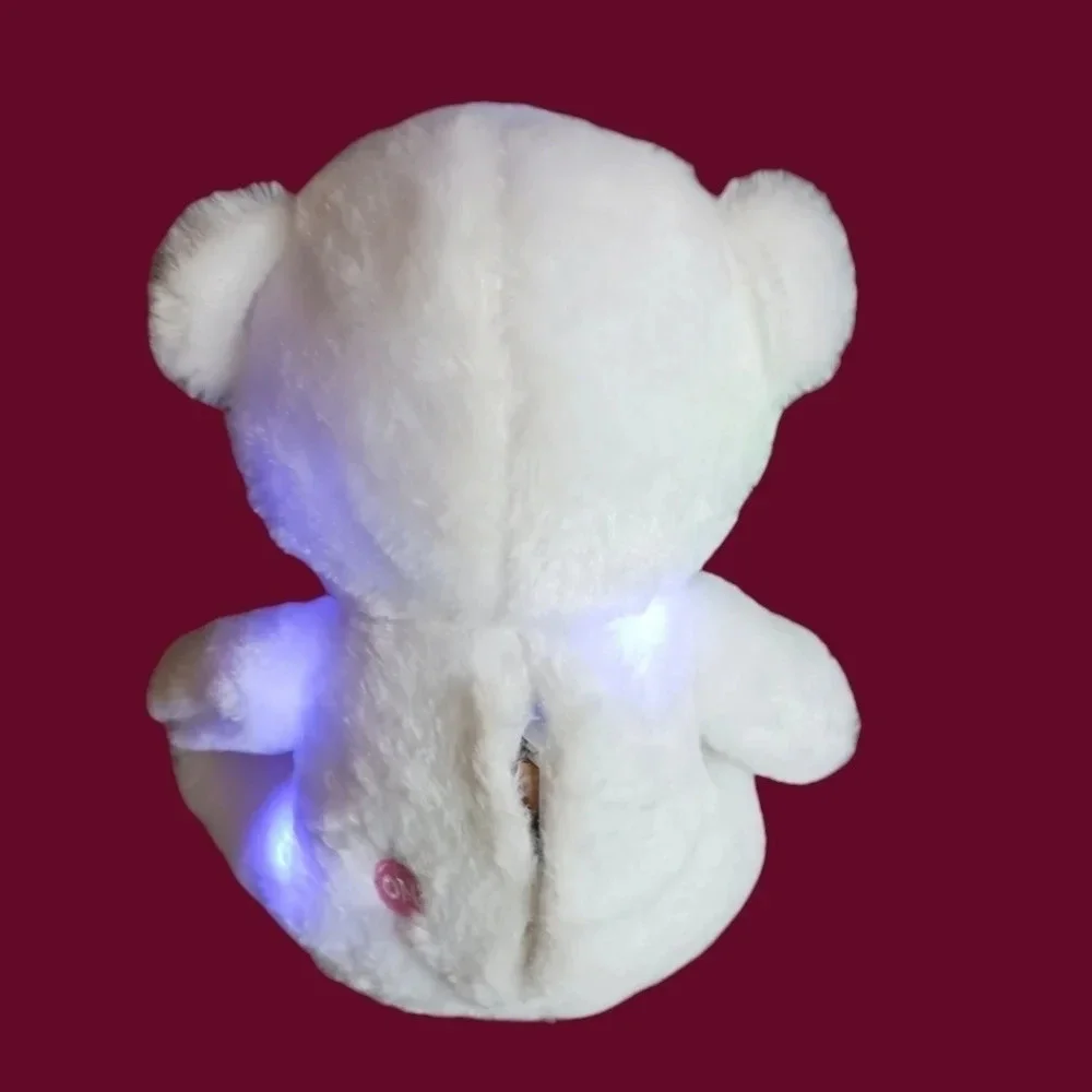 Plush teddy bear toy with amazing colorful changing led lights